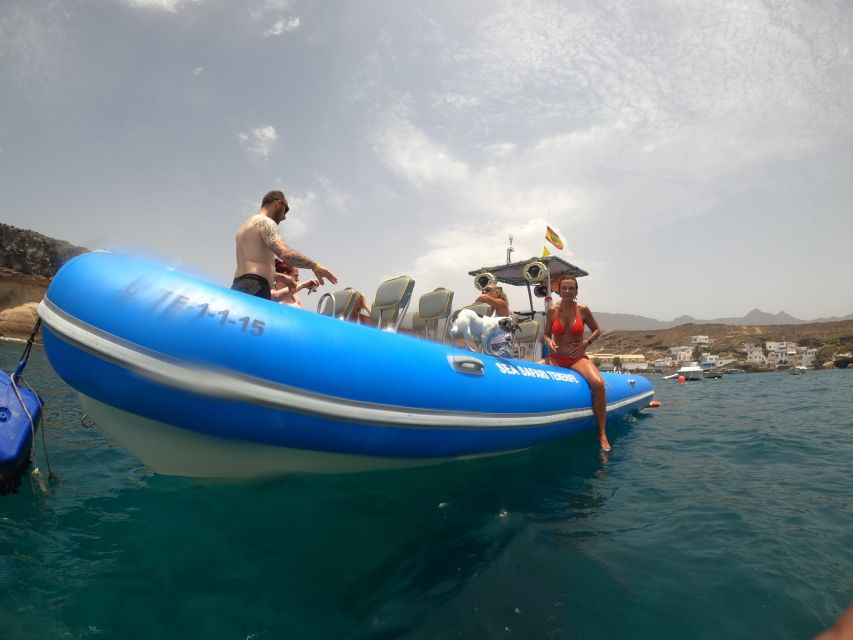 Puerto Colon: Dolphin and Whale Watching Speedboat Cruise - Searching for dolphins and pilot whales
