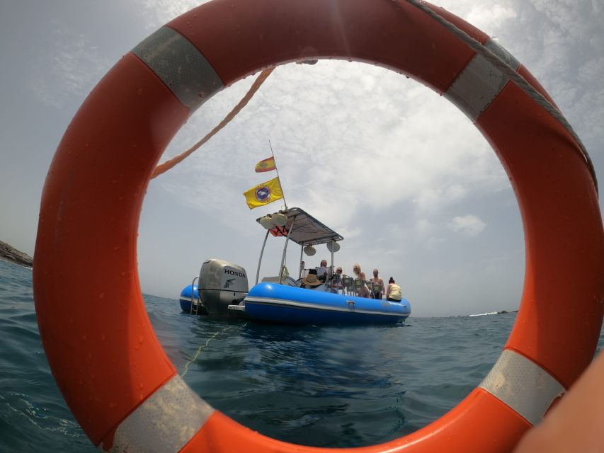 Puerto Colon: Dolphin and Whale Watching Speedboat Tour - Searching for pilot whales and dolphins