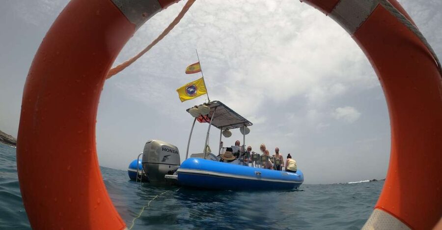 Puerto Colon: Dolphin and Whale Watching Speedboat Tour - Captain Nico and the value of a good guide