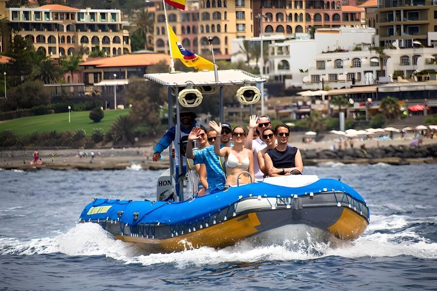 Puerto Colon: Dolphin and Whale Watching Speedboat Tour - Why the small group improves the wildlife viewing