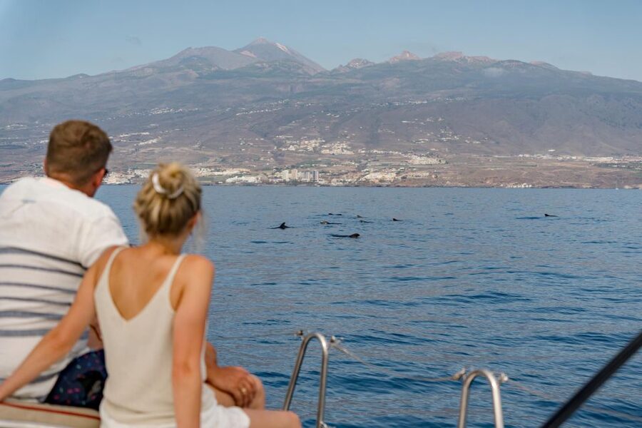 Puerto Colon: Whale and Dolphin Watching Yacht Trip - Who will enjoy this yacht trip most