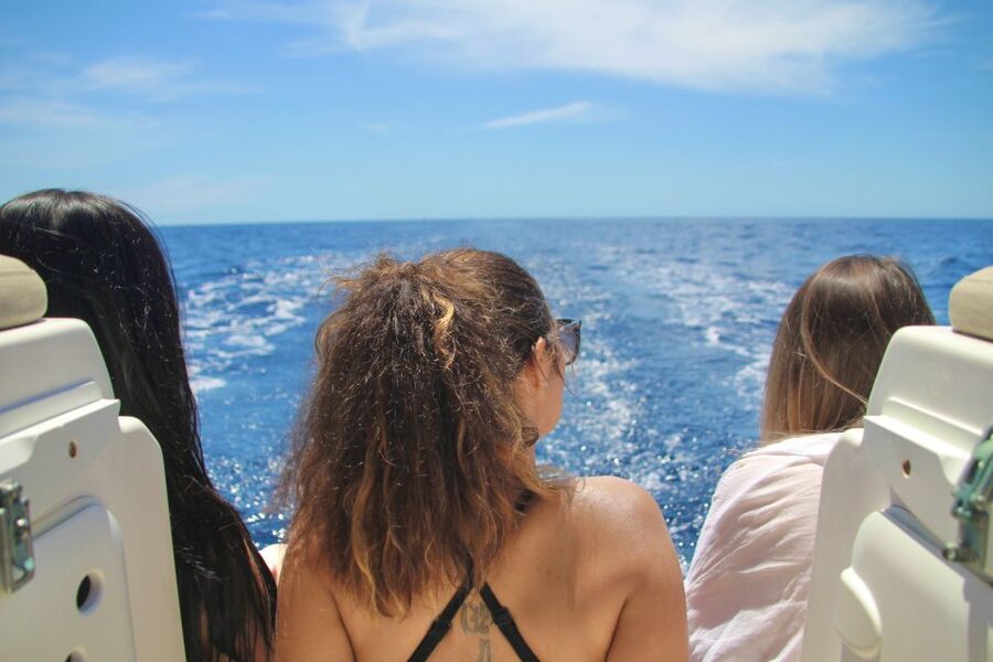 Puerto Colon : Whale & Dolphins Sailing Excursion - Key points to know before you book