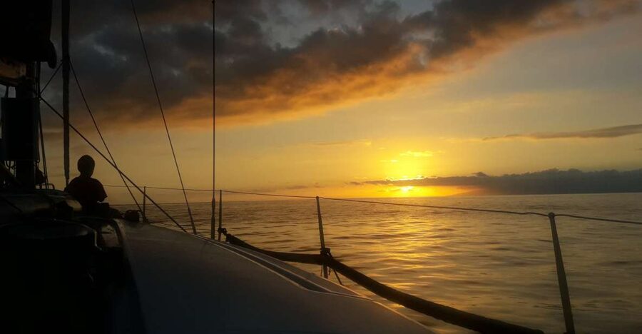 Puerto Colon: Whale-Watching Sailing Tour with Meal & a Swim - Meal, drinks, and the practical food question