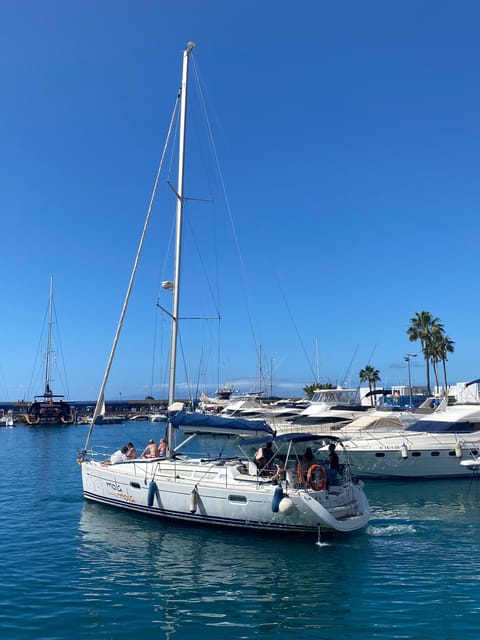 Puerto Colon: Whale-Watching Sailing Tour with Meal & a Swim - How this compares with a large whale-watching boat