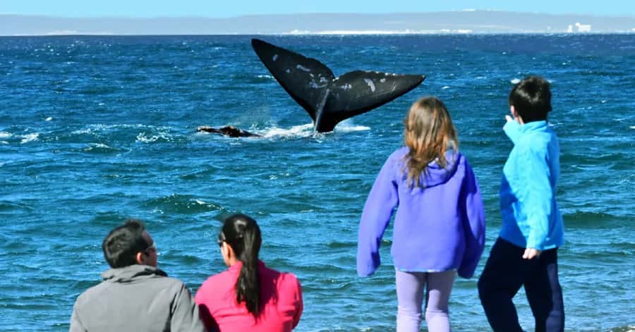 Puerto Madryn: El Doradillo Whale Watching Half-Day Tour - The 30-minute ride from Puerto Madryn
