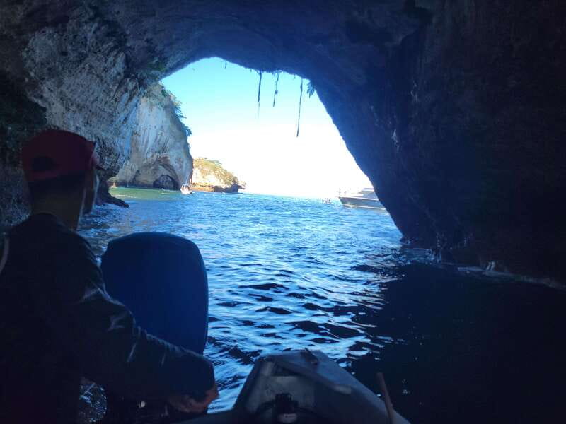 Puerto Vallarta: 3-Hour Whale Watching and Snorkeling - Who will enjoy this Puerto Vallarta boat trip?