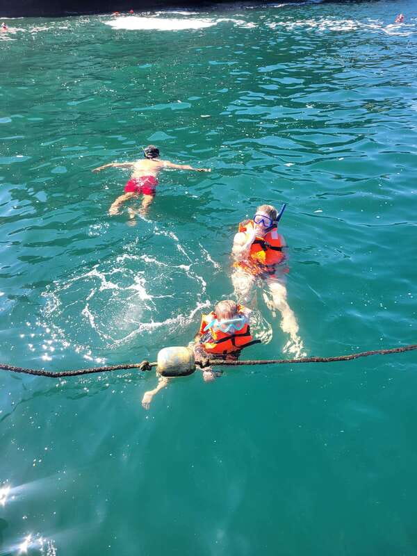 Puerto Vallarta: 3-Hour Whale Watching and Snorkeling - Humpback whales in Puerto Vallarta Bay