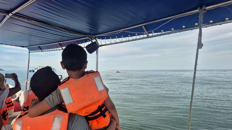 Puerto Vallarta: 3-Hour Whale Watching and Snorkeling - Boat comfort, boarding, and safety