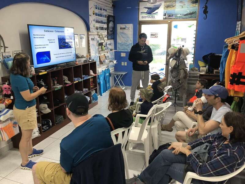 Puerto Vallarta: Humpback Whale Research Adventure Tour - Three hours searching Banderas Bay