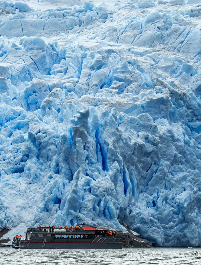 Punta Arenas: Full-Day Whales, Penguins, and Glaciers Tour - Key points at a glance