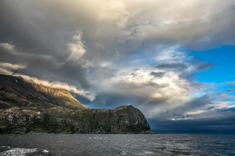 Punta Arenas: Full-Day Whales, Penguins, and Glaciers Tour - Magellanic penguins and coastal wildlife