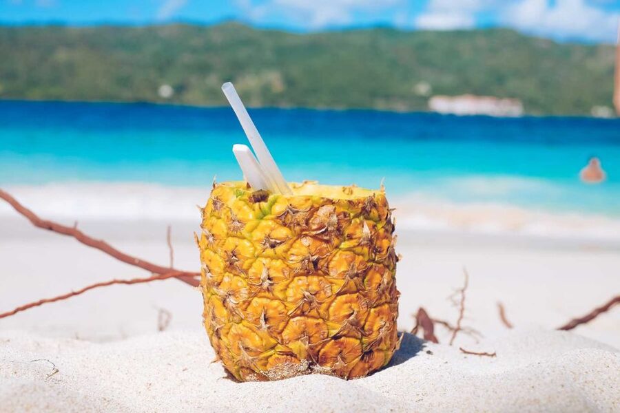 Punta Cana: Samana Full Day Trip Whale Cascada El Limon - Cayo Levantado, the bright finish