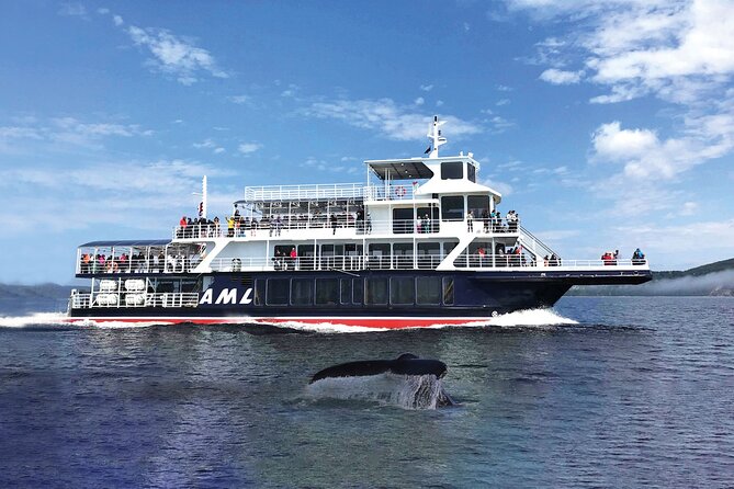 Québec City: Whale Watching Tour with Bus Transportation - The weather can change your experience