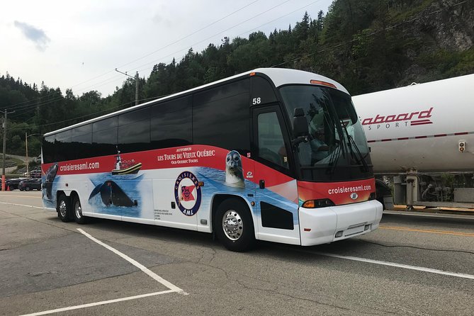 Québec City: Whale Watching Tour with Bus Transportation - Who should book this excursion?