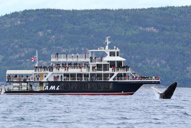 Québec City: Whale Watching Tour with Bus Transportation - A lunch break before the cruise
