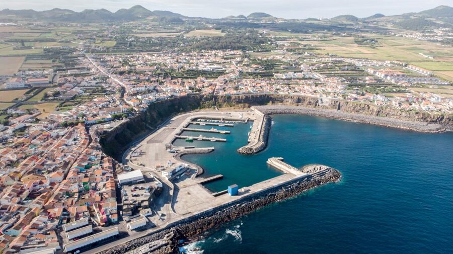 Rabo de Peixe: Sperm Whale Sanctuary Expedition - Starting at Clube Naval Rabo de Peixe