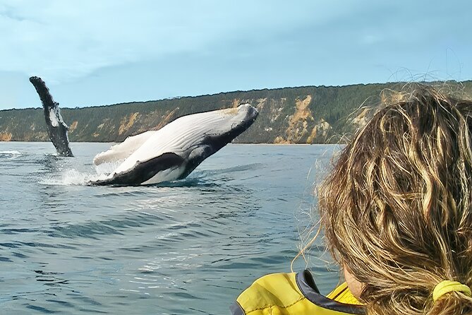 Rainbow Beach: Whale Watching Ocean Kayak Tour & Beach 4X4 - Key points to know before booking