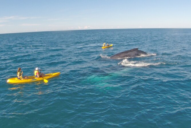 Rainbow Beach: Whale Watching Ocean Kayak Tour & Beach 4X4 - The 4WD ride from Kirchner Street to Double Island Point