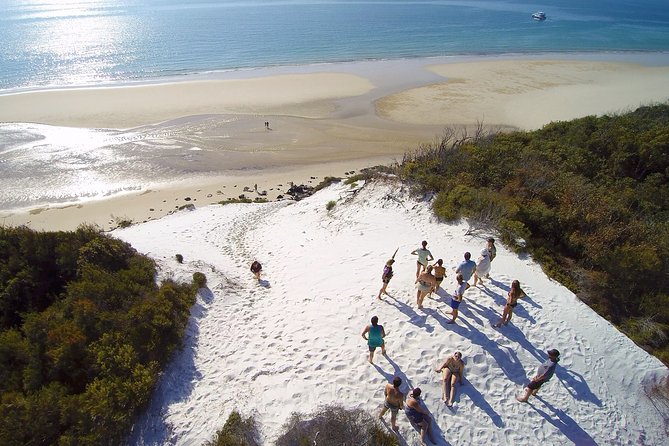 Remote K'gari (Fraser Island) & Whale Experience - The day at a glance