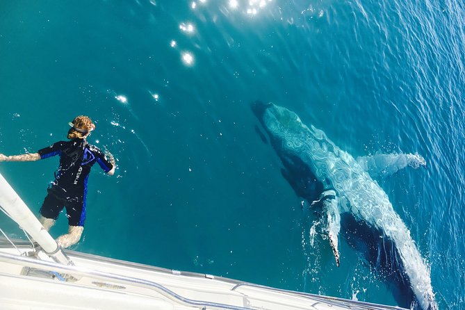 Remote K'gari (Fraser Island) & Whale Experience - Whale watching in Hervey Bay