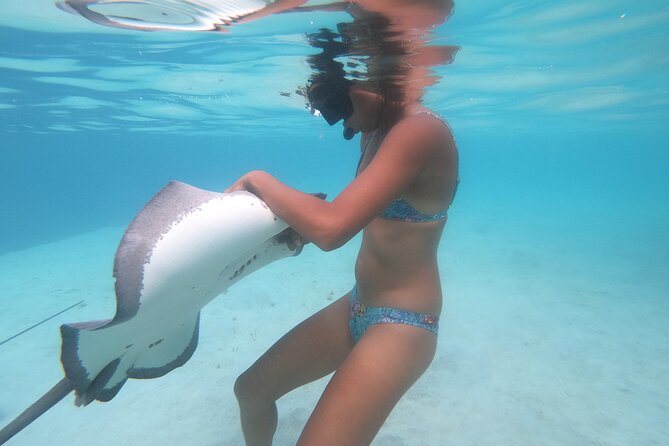 Respectful whale excursion to Tahiti in 4h30 - How the $222.11 price makes sense