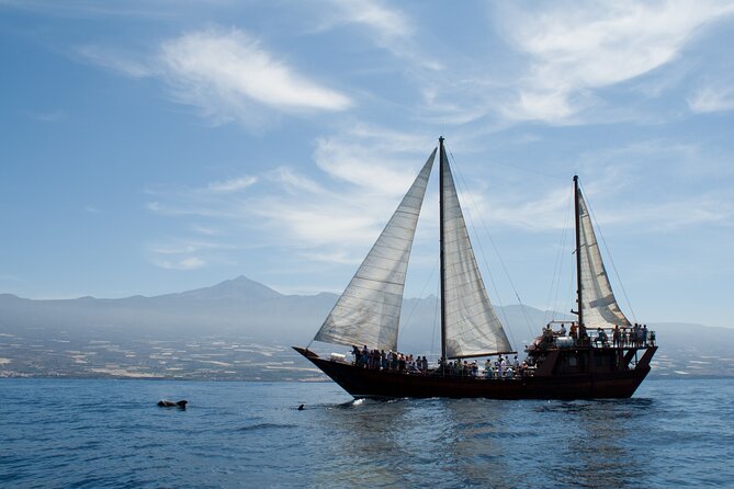 Respectful Whale Watching on a Wooden Boat and Swim - Timing, weather, and cancellation details