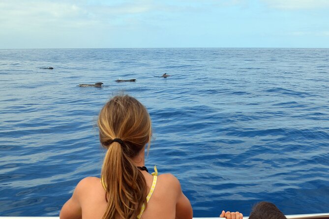 Respectful Whale Watching on a Wooden Boat and Swim - Thirty minutes looking for whales and dolphins