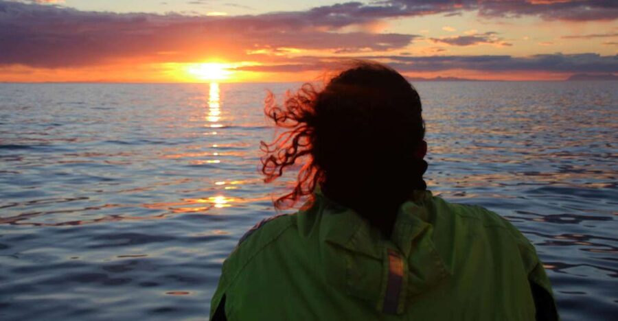 Reykjavík: Midnight Sun Whale Watching Cruise - Key points to know before you book