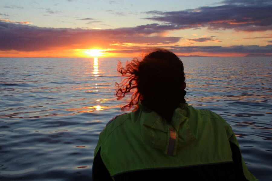 Reykjavík: Midnight Sun Whale Watching Cruise - How much value do you get for $106?