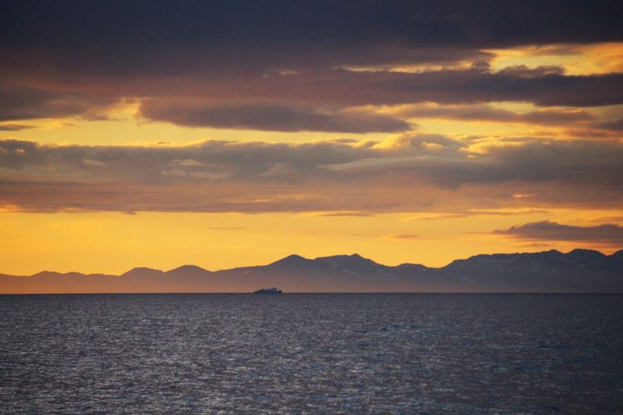 Reykjavík: Midnight Sun Whale Watching Cruise - Who will enjoy this cruise most?
