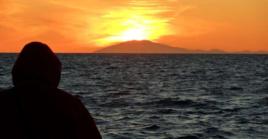 Reykjavik: Midnight Sun Whale Watching Tour - Key points to know before sailing