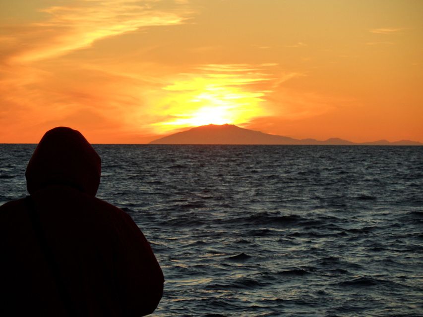 Reykjavik: Midnight Sun Whale Watching Tour - Setting out from Reykjavík’s old harbor