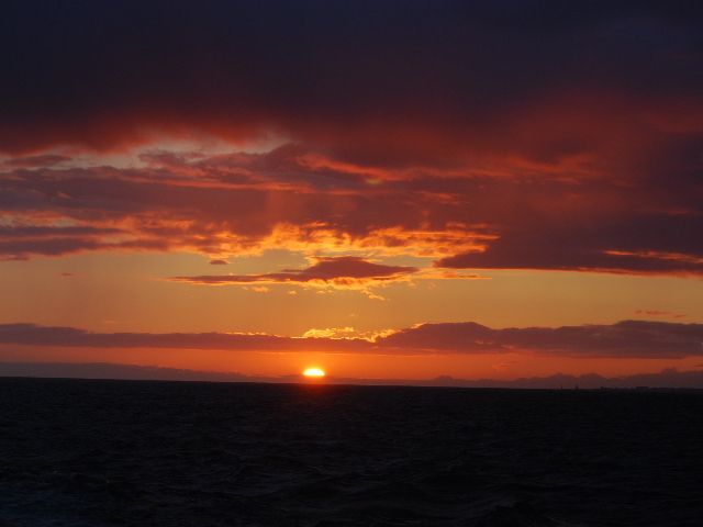 Reykjavik: Midnight Sun Whale Watching Tour - Practical advice for a better outing
