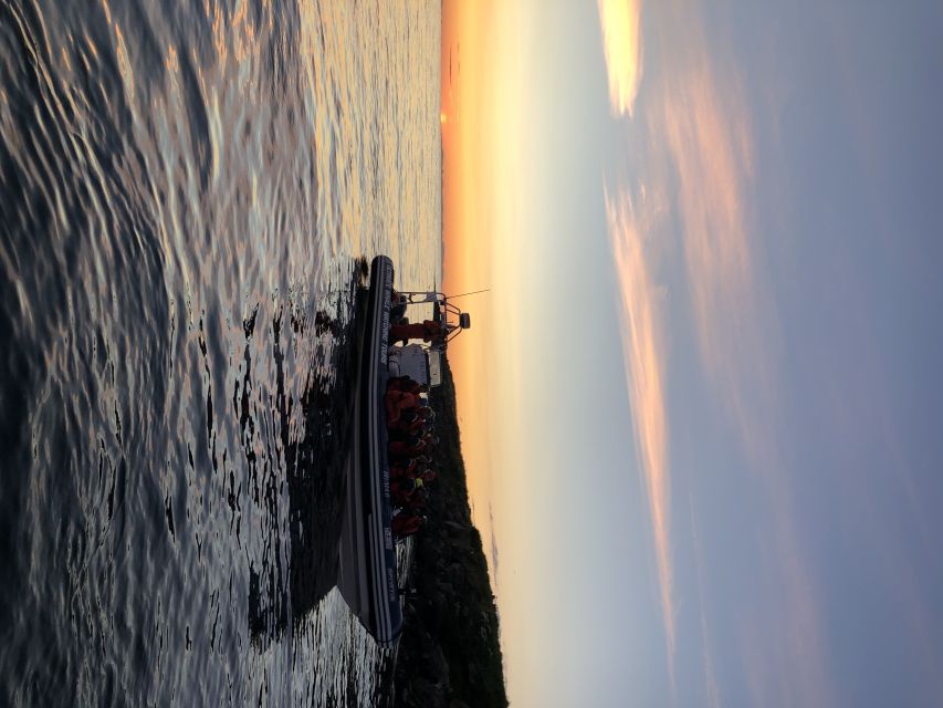 Reykjavik: Premium Whale and Puffin Watching Evening Tour - Returning beside Reykjavík’s waterfront