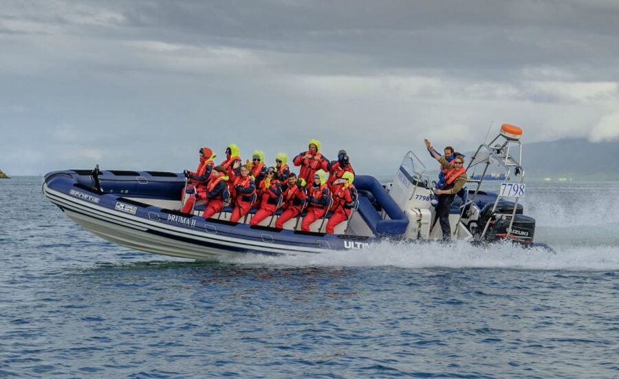 Reykjavik: Premium Whale Watching with Flexible Ticket - Key points to know before you book