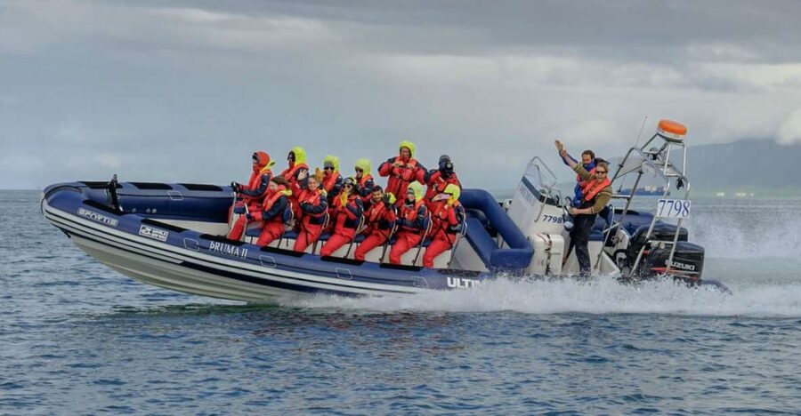 Reykjavik: Premium Whale Watching with Flexible Ticket - What the suspension seats change
