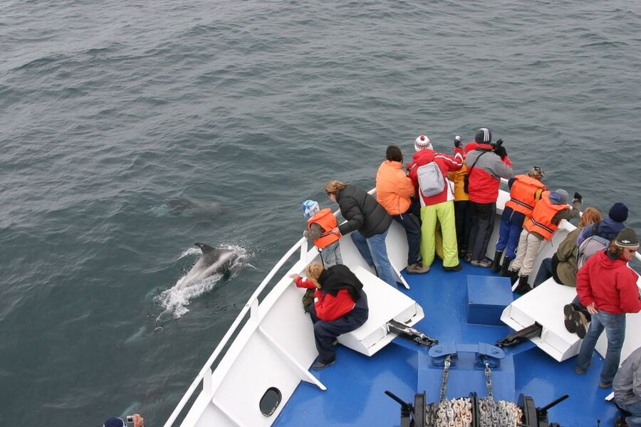 Reykjavik: the Original 3-Hour Whale Watching Tour - Leaving Reykjavik’s Old Harbour for Faxafloi Bay