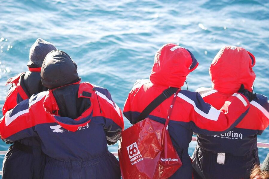 Reykjavik: the Original 3-Hour Whale Watching Tour - Picking the best place on the boat