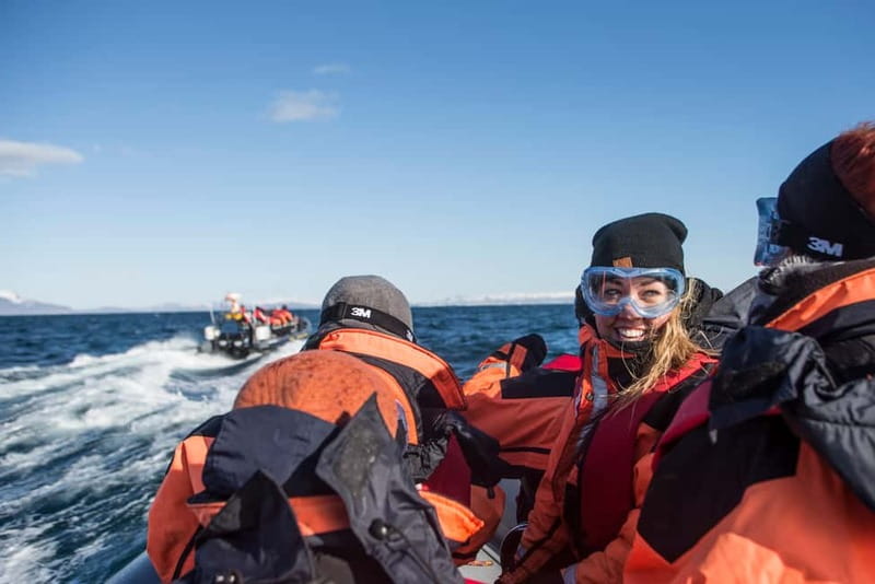 Reykjavik: Whale and Puffin Watching RIB Boat Tour - The quick facts that matter most