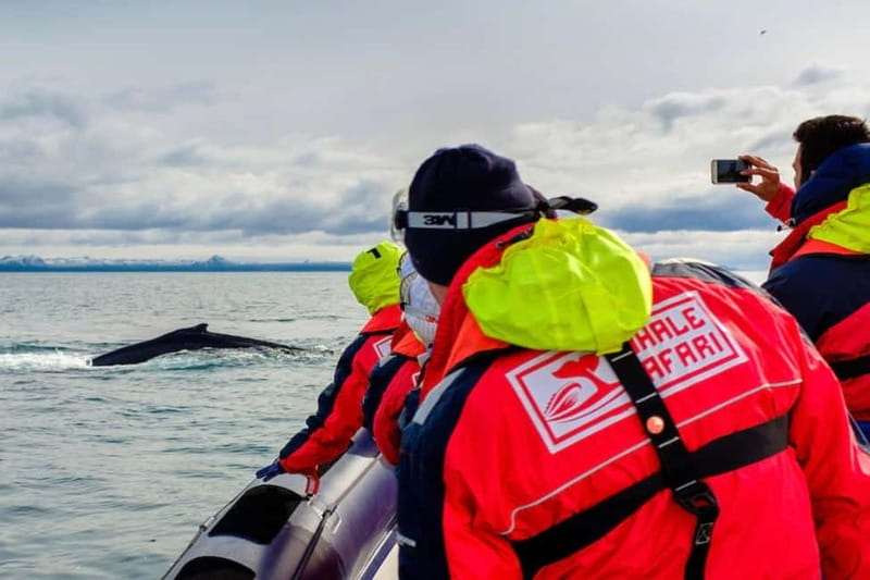 Reykjavik: Whale and Puffin Watching RIB Boat Tour - Getting dressed for Iceland’s cold water