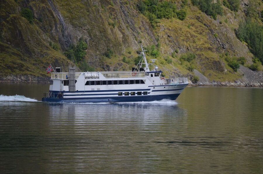 Reykjavik: Whale & Marine Adventure Tour - What you might see in the bay