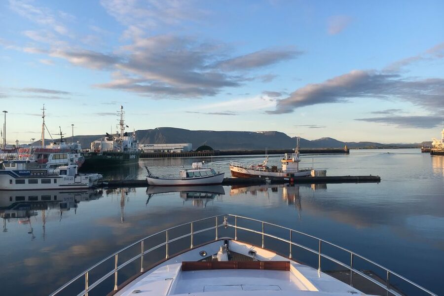 Reykjavik: Whale Watching and Dolphin Watching Yacht Cruise - What you might see in different seasons