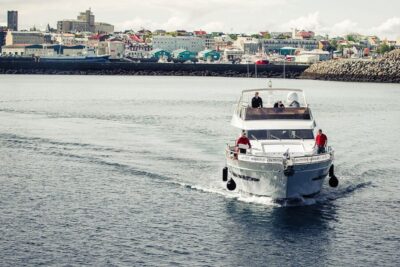 Reykjavik: Whale Watching and Dolphin Watching Yacht Cruise