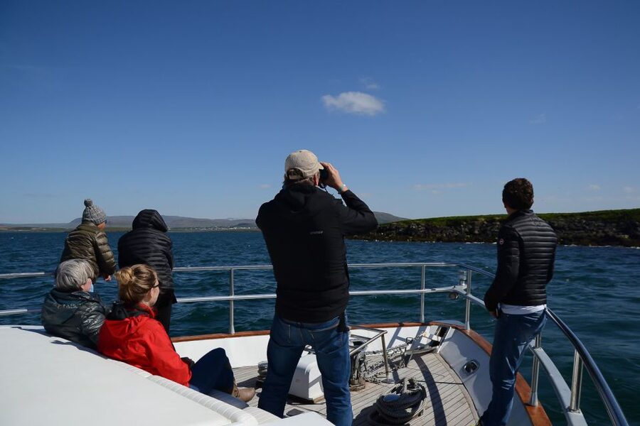 Reykjavik: Whale Watching and Dolphin Watching Yacht Cruise - Is $106 good value for three hours?