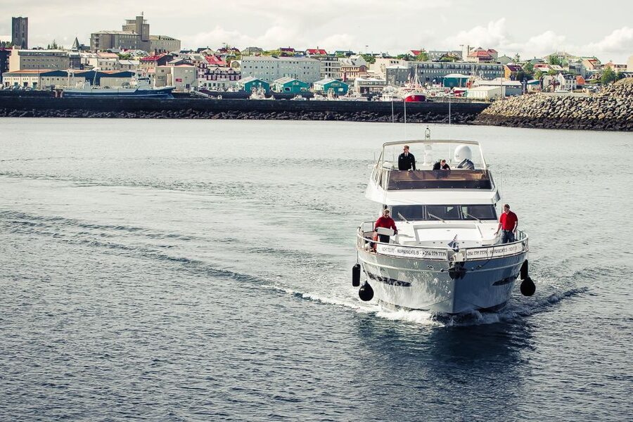 Reykjavik: Whale Watching and Dolphin Watching Yacht Cruise - Crossing Faxaflói Bay in search of whales