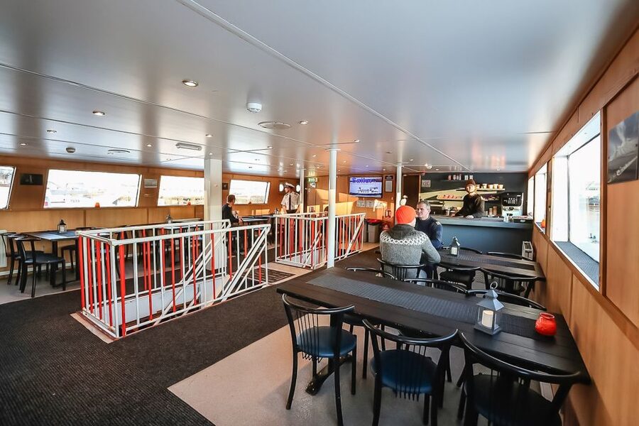 Reykjavík: Whale Watching and Marine Life Cruise - Booking details worth knowing