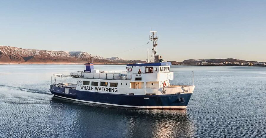 Reykjavík: Whale Watching and Marine Life Cruise - Leaving Reykjavík’s Old Harbour