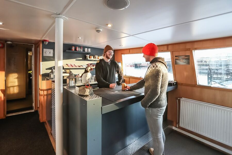 Reykjavík: Whale Watching and Marine Life Cruise - Why the guide matters more than the boat