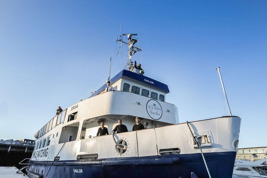 Reykjavík: Whale Watching and Marine Life Cruise - Best season and winter surprises