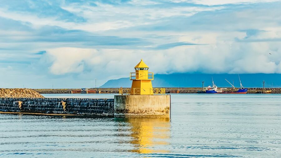 Reykjavík: Whale Watching and Marine Life Cruise - Who should book this cruise?